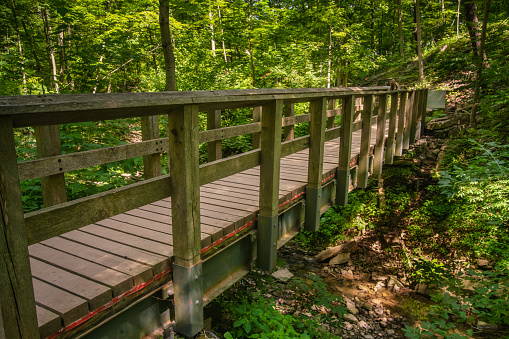 Two hikers with backpacks and hiking poles cross a small wood bridge over a mountain stream with a lush forest background.