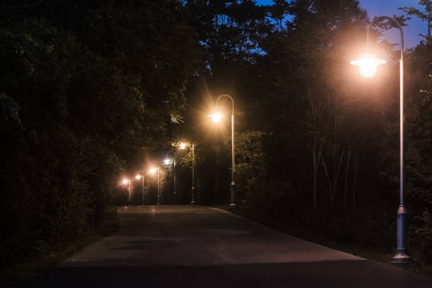 istock Single Lane Road at Night with Streetlights 1267340845