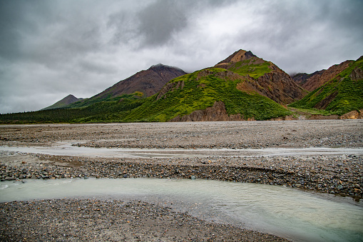 Lush vegetation off the Denali road into wilderness. Spreading river with rocky base and banks.