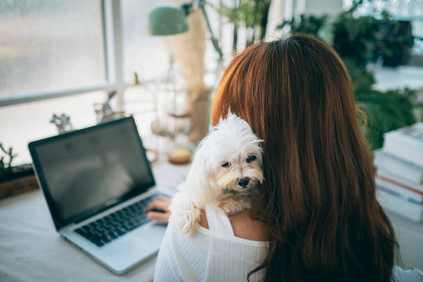istock Working at home with puppy 1267342472