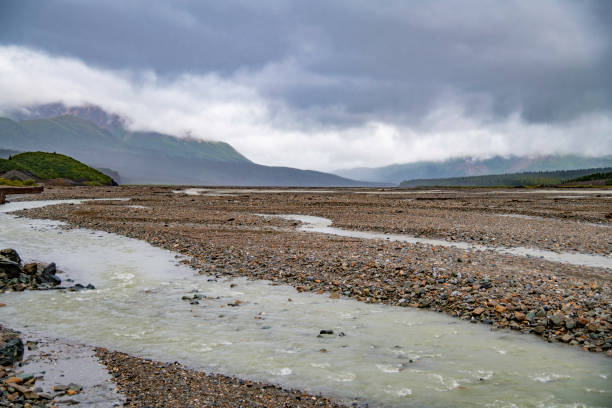 Lush vegetation off the Denali road into wilderness. Spreading river with rocky base and banks.