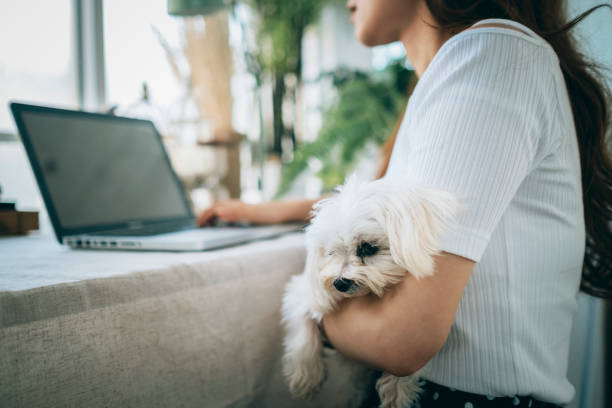 istock Working at home with puppy 1267342529