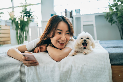 Mujer asiática en casa con cachorro photo