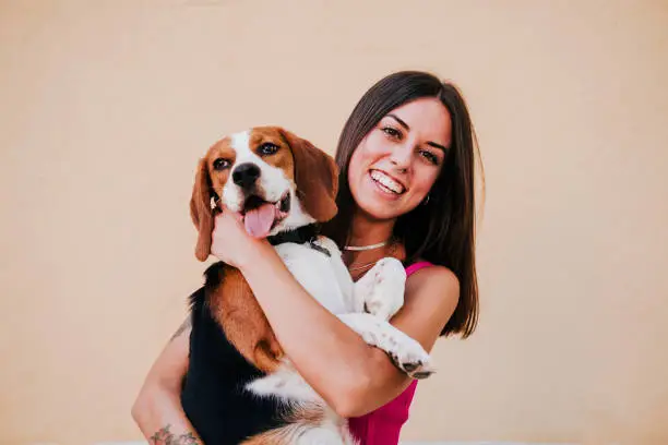 Photo of happy young woman outdoors having fun with beagle dog. Family and lifestyle concept. yellow background