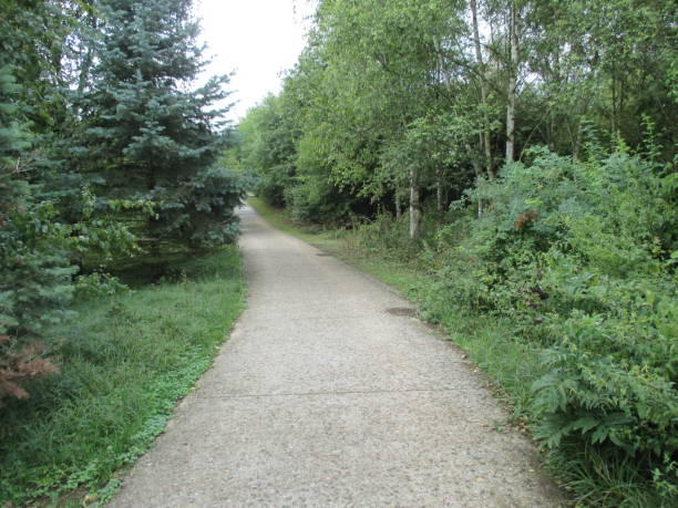 istock Tree-lined hiking trail  Summer season 1267344074