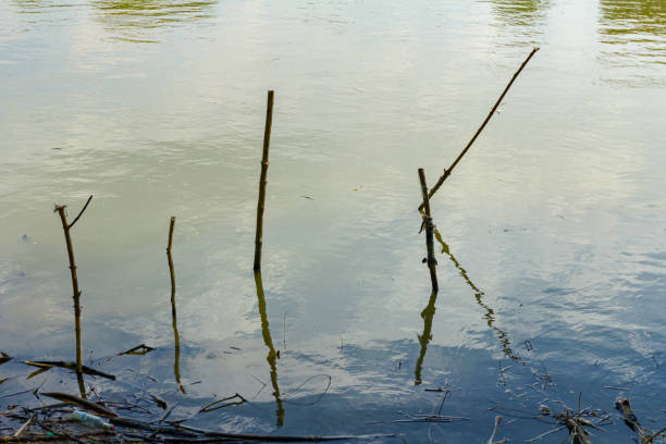 istock Stakes stubbed into the shallow water 1267345510