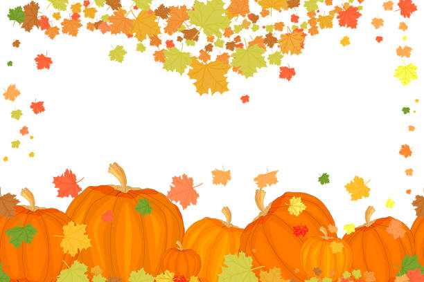 ilustraciones, imágenes clip art, dibujos animados e iconos de stock de borde festivo con calabazas y hojas de otoño aisladas sobre fondo blanco. - autumn leaf white background land