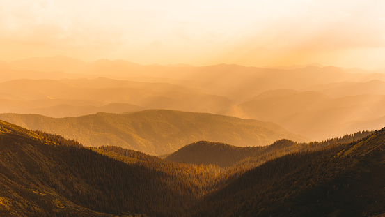 Dramatic view of the panorama of the high mountain peaks and the pine forest during bright summer sunset in Carpathian Mountains