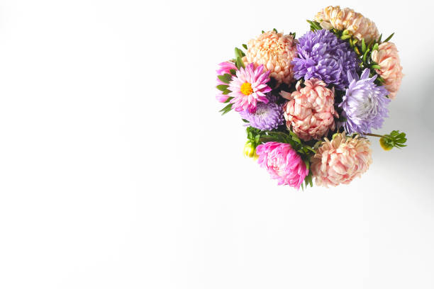 白い背景に新鮮なアスターの美しい秋の花束。シンプルなフラットコンポジション、コピースペース、トップビュー - cut flowers bouquet flower flower arrangement ストックフォトと画像