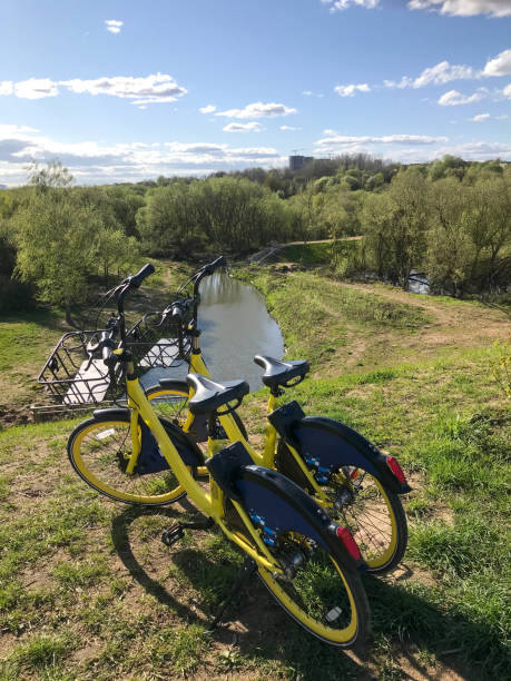 dos bicicletas amarillas se paran en la orilla del río. patinar en la ciudad, en la naturaleza de una pareja joven. mantener un estilo de vida saludable en una familia joven. en el fondo de un bosque joven y alto - 3615 fotografías e imágenes de stock