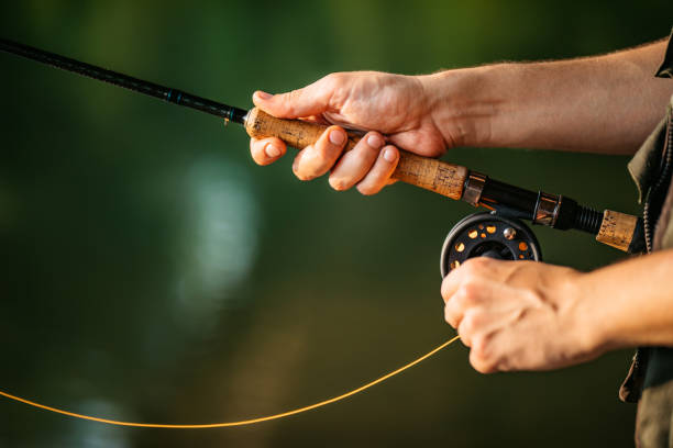 man with a spinning fishing on the river - carretel de pesca imagens e fotografias de stock