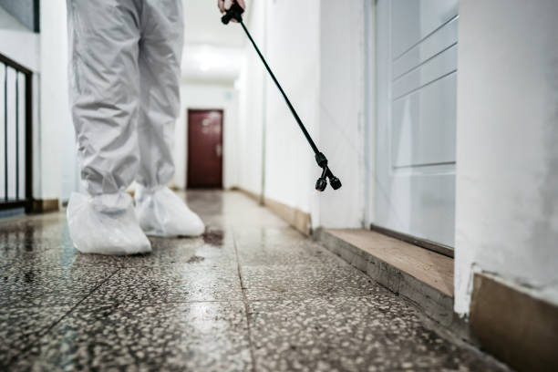 istock Disinfecting building halls 1267360222