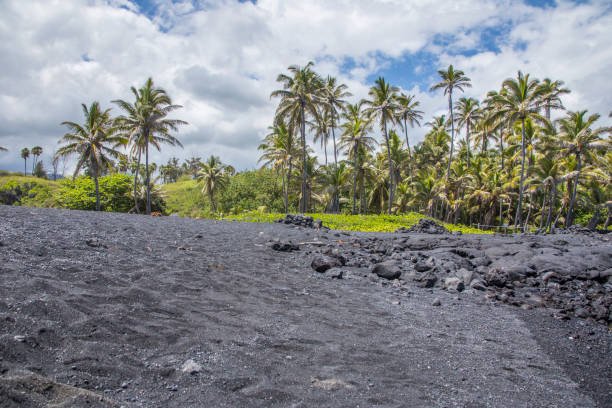 istock Black Sand Beach, Punalu'u Hawaii USA 1267360844