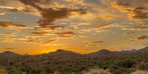 istock Panoramic sunset over a mountain landscape in the Sonoran Desert 1267360864
