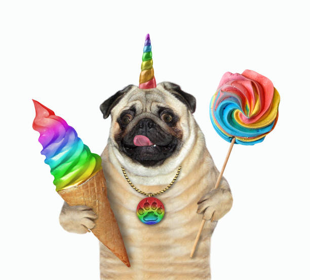 istock Pugicorn with lollipop and ice cream 1267363430