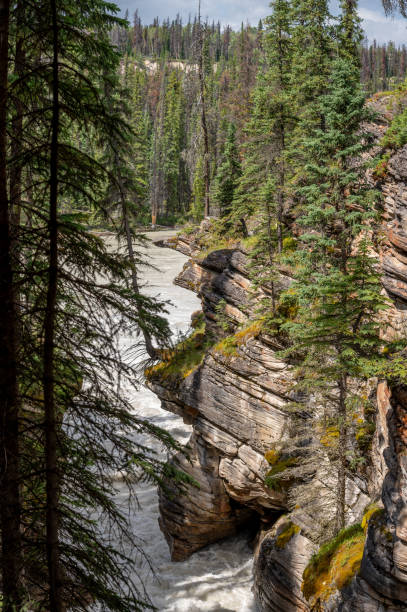 istock Athabasca Falls in Jasper National Park. 1267367067