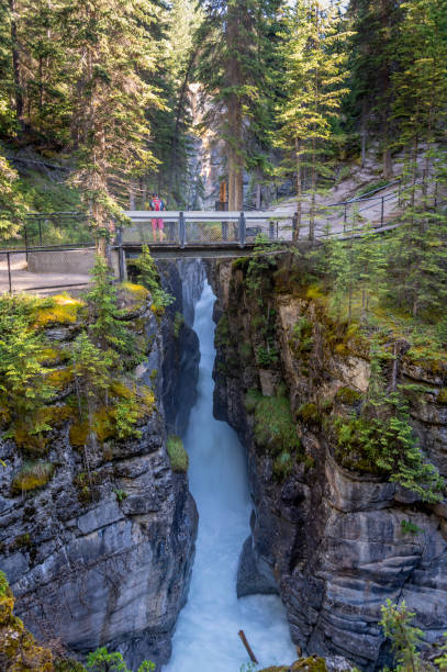 canyon maligno, jasper national park - lago maligne foto e immagini stock