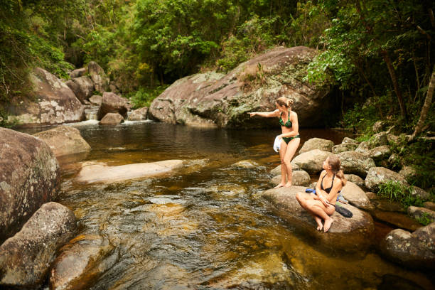 istock Look! we can swim over there 1267371141