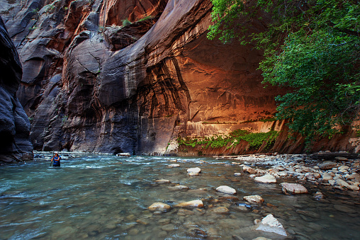 zion narrow  with  vergin river in Zion National park,Utah,usa.