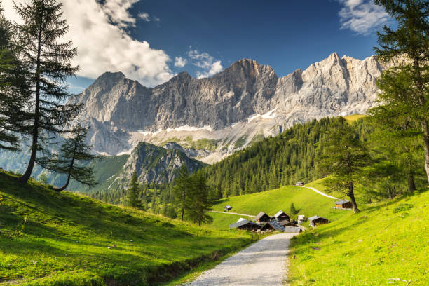 istock Traditional Austrian mountain village 1267374322