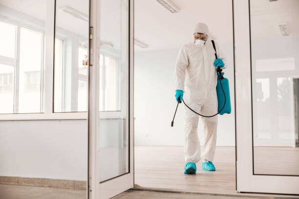 istock Worker in white sterile uniform, with rubber gloves and mask on holding sprayer with disinfectant and sterilizing school. 1267380077