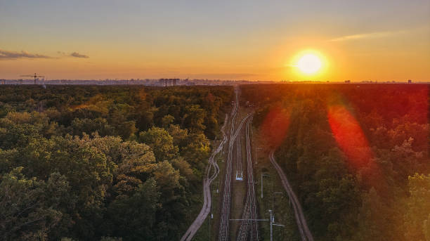 istock Railway. Railroad in a pine forest. Aerial view. 1267383697
