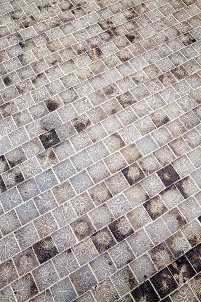 details of the road made of natural wood materials, closeup on the pavement