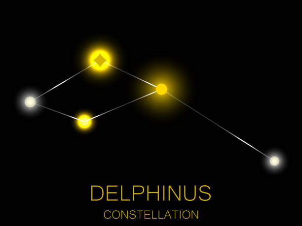 Delphinus constellation. Bright yellow stars in the night sky. A cluster of stars in deep space, the universe. Vector illustration Delphinus constellation. Bright yellow stars in the night sky. A cluster of stars in deep space, the universe. Vector illustration constellation delphinus stock illustrations