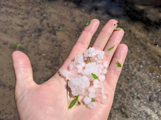 cold hail grains on the palm