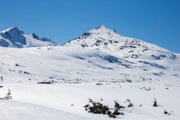 istock Skagway, Alaska - White Pass and Yukon Route Railroad 1267392324