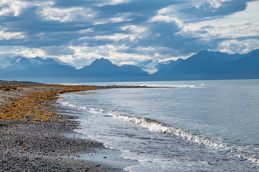 Alaskan beach on Homer spit called Bishop's beach.