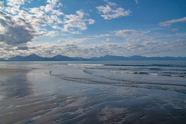 Alaskan beach on Homer spit called Bishop's beach.
