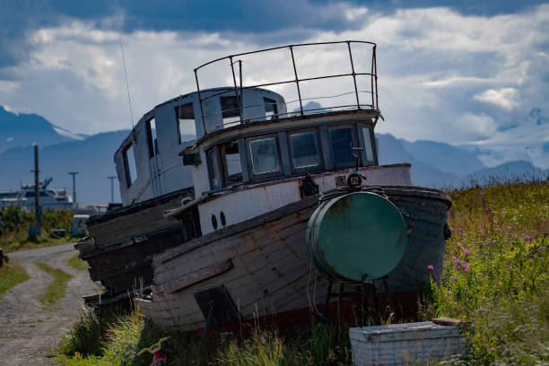 Free Stock Photo of Rusted Boat Abandoned on Water | Download Free ...