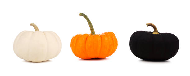 istock Three Halloween pumpkins, white, orange and black, isolated on white 1267398776