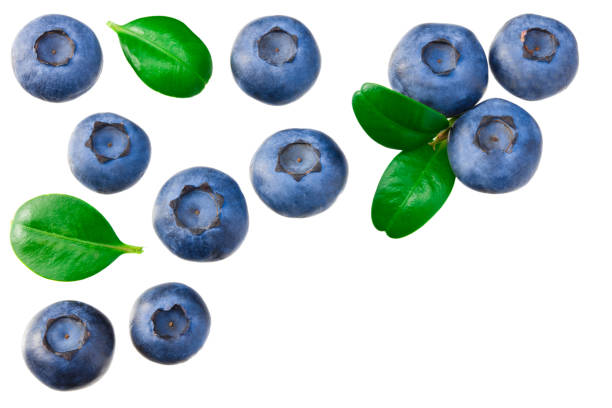 istock blueberries with leaves isolated on white background. top view. healthy background. 1267399249