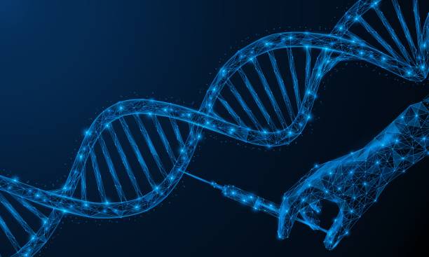 Gene therapy of the DNA cell. Gene therapy of the DNA cell. Research changes in the genome of a living organism. Low-poly design of a human hand with a syringe and a spiral-shaped chromosome. Blue background. gene therapy stock illustrations