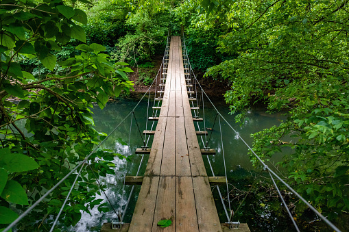 Scenic empty hanging bridge in the middle of the forest nobody around empty path