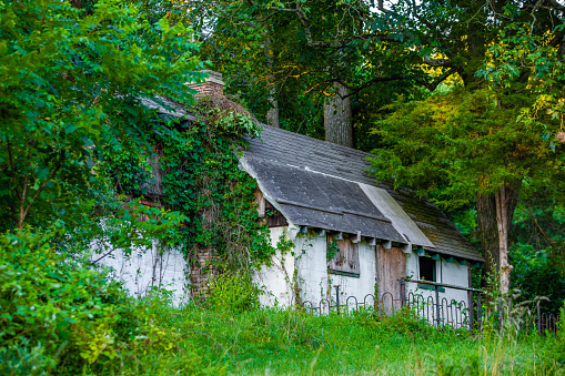 Peaceful abandoned old cottage at summer sunset in the woods nobody