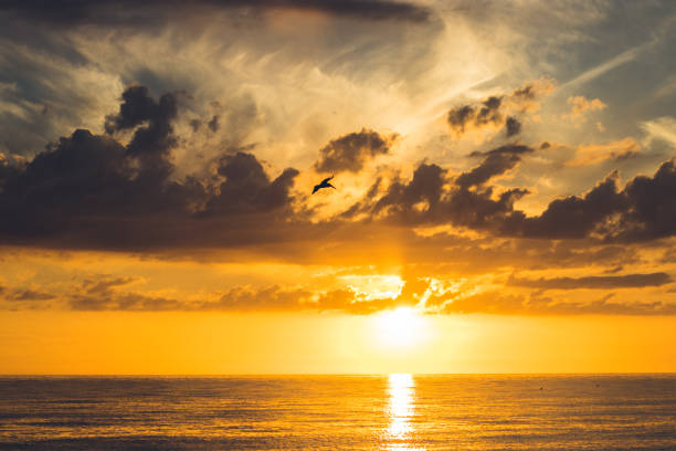 istock Sunset with dark clouds over the ocean 1267423947