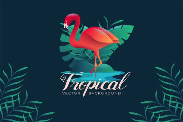 Vector illustration of Background vector illustration with tropical flamingo theme