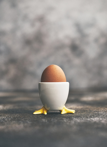 Still life image of a brown egg in an egg cup with chicken feet