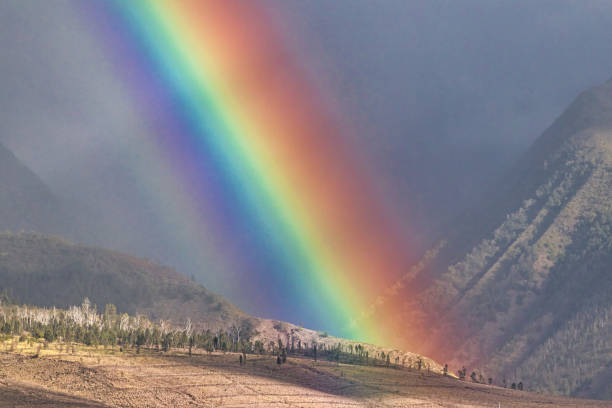 istock Bright, vivid rainbow across the west maui mountains. 1267429500