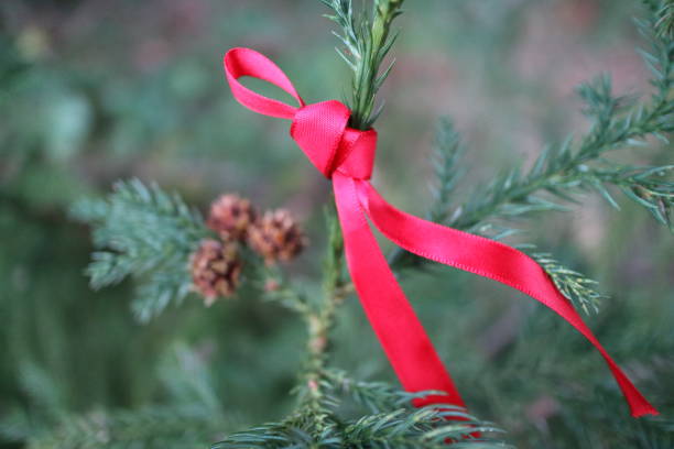 istock Decorate with a red ribbon 1267430225