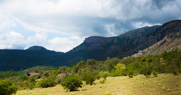 istock Mountain landscape panorama. A cloudy sky looms over the mountain range. Copy space for text. 1267430252