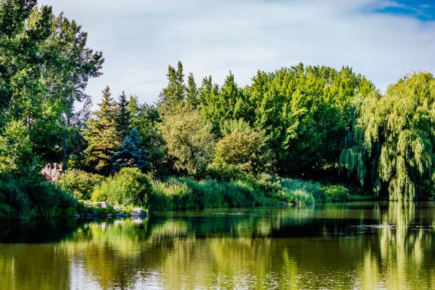 Reflections of trees and clouds on lake water with a cloudy sky with sun rays, La Fontaine Park at the summertime, Montreal, QC after the ease of lockdown of covid-19. Happiness inspiration concepts.