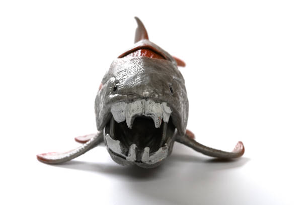 front view of Dunkleosteus terrelli model on white close up on the head