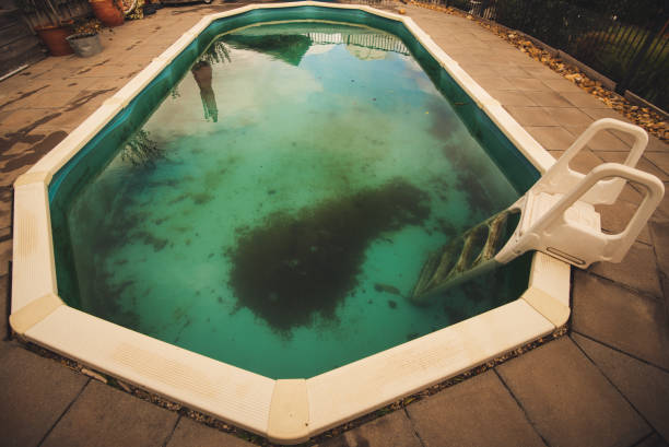 istock Outdoor swimming pool with green algae 1267435835