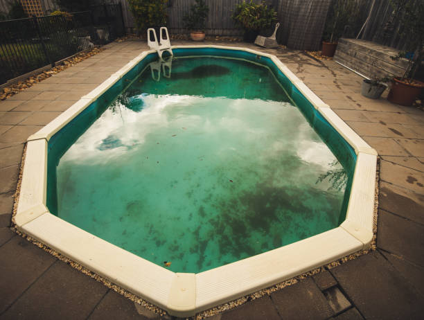istock Outdoor swimming pool with green algae 1267435871