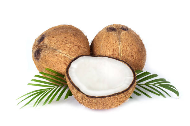istock Coconut with half. Fresh raw coconut with palm leaves isolated on white background. 1267442186