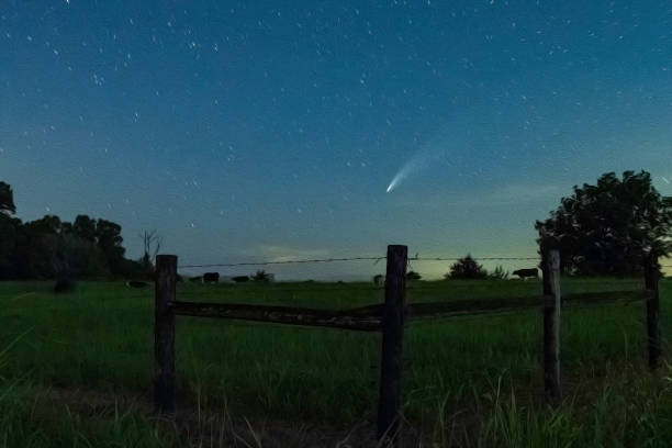 istock Comet NEOWISE over a cow pasture 1267445109